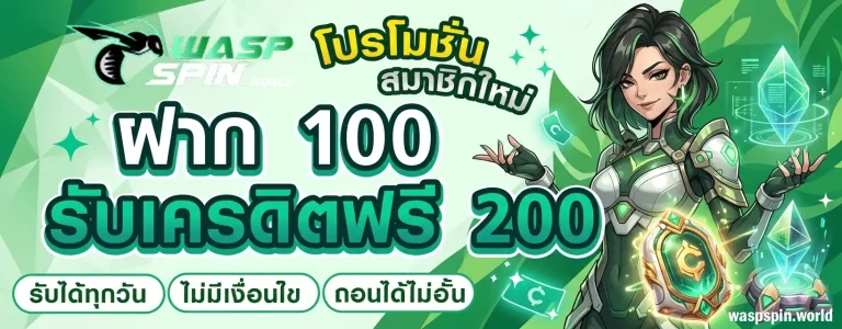โปรโมชั่น waspspin